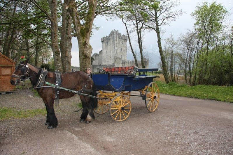 Lake Lodge Guesthouse Killarney Eksteriør bilde