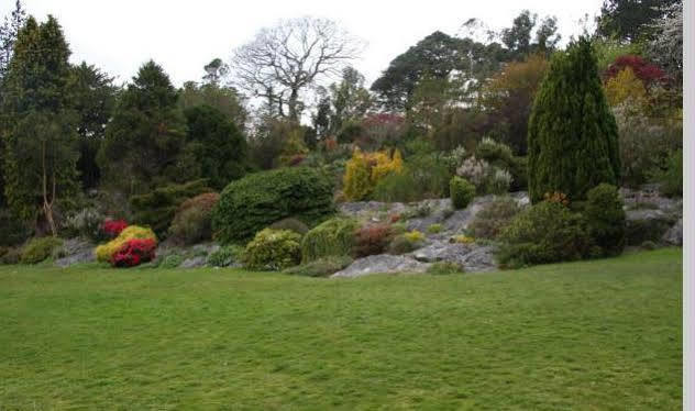 Lake Lodge Guesthouse Killarney Eksteriør bilde