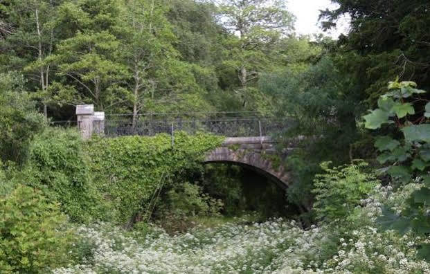 Lake Lodge Guesthouse Killarney Eksteriør bilde