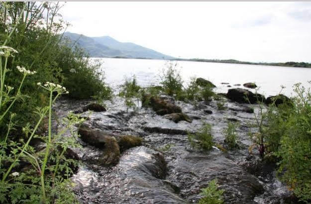 Lake Lodge Guesthouse Killarney Eksteriør bilde