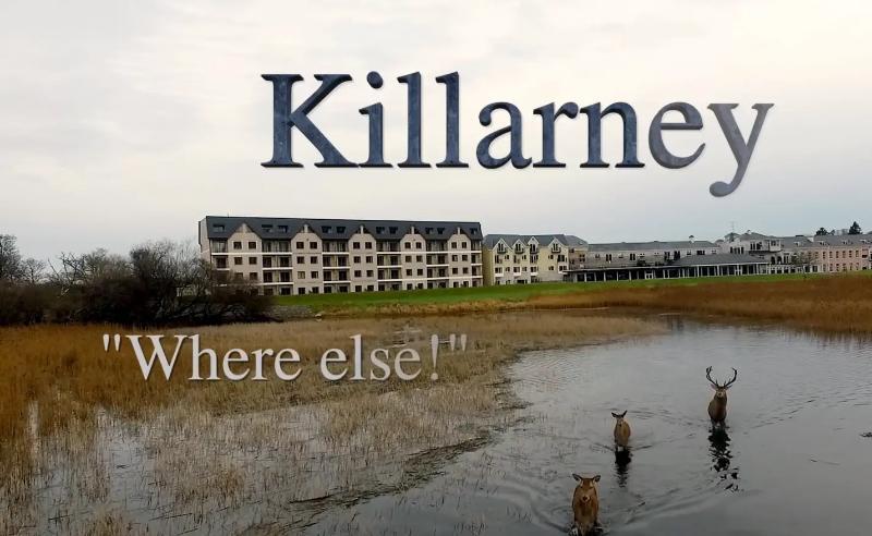 Lake Lodge Guesthouse Killarney Eksteriør bilde