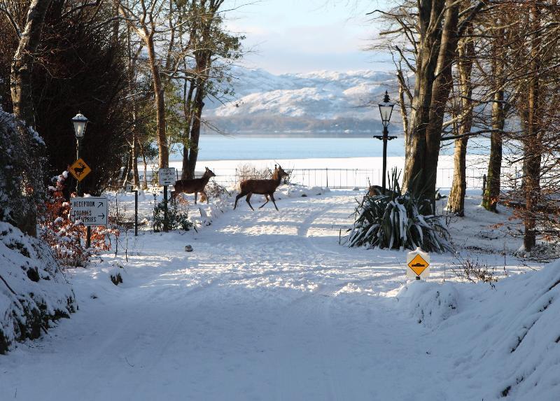 Lake Lodge Guesthouse Killarney Eksteriør bilde